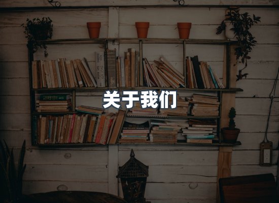 专业团队